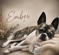 Ember - Photo 2