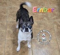 Ember - Photo 3