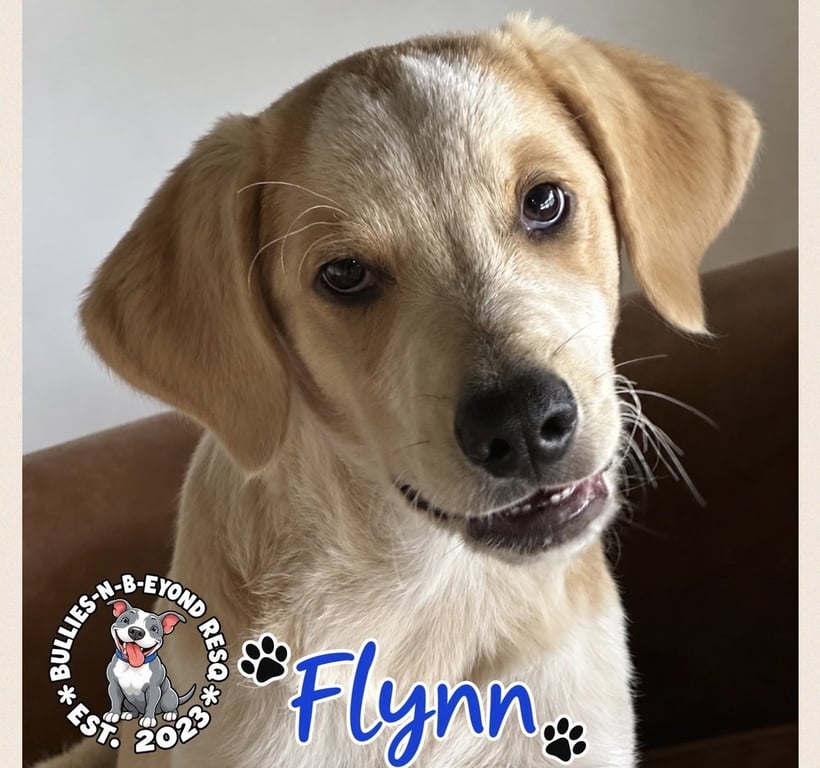 Flynn Image