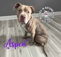Aspen - Photo 1