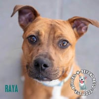 Raya - Photo 4