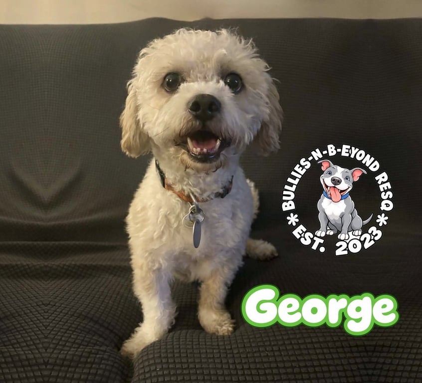 George Image