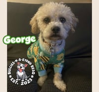 George - Photo 2