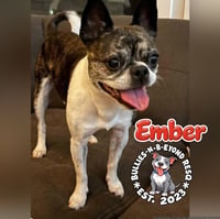 Ember - Photo 2