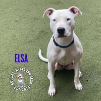 Elsa - Photo 3