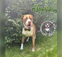 Topaz - Photo 2