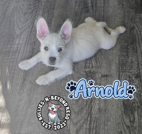 ARNOLD