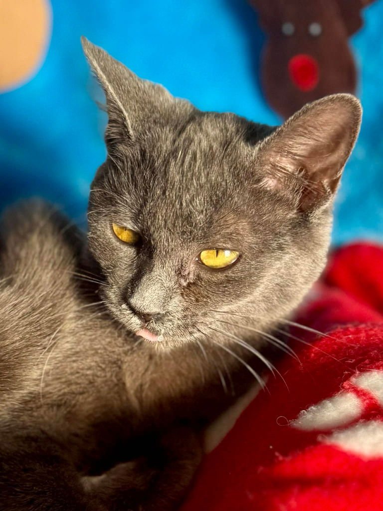 Pretty Girl - Photo 3