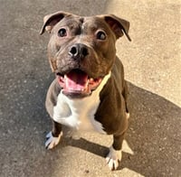 *JIMINY CRICKET - Photo 1