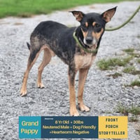 Grand Pappy - Photo 1