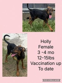 Holly - Photo 3