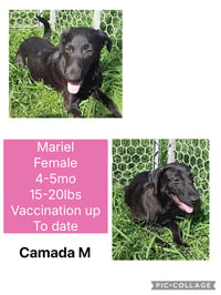 Mariel - Photo 2