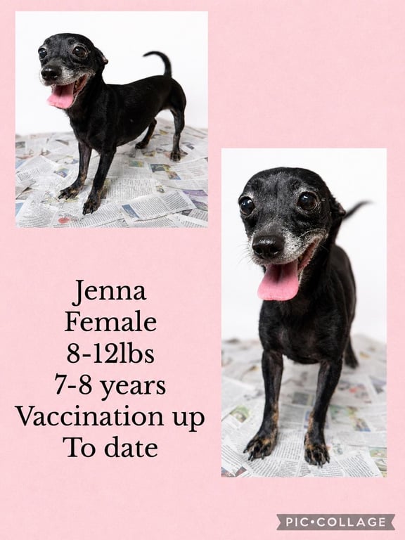 Jenna Image