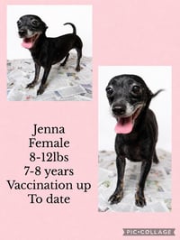 Jenna - Photo 1