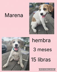Marena - Photo 1