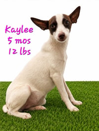 Kian - Photo 2