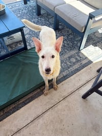 Cooper/Nieve - Photo 2