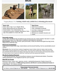Bruin - Photo 5