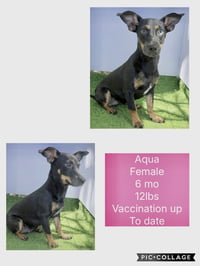 Aqua - Photo 1