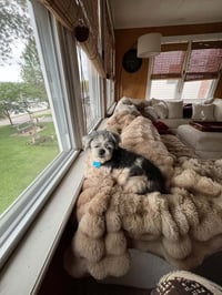 Mitzi - Photo 4