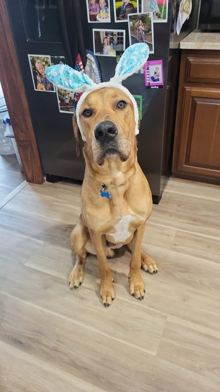 Charley Image