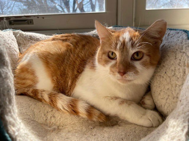 Peaches - Photo 3