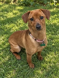 Mya - Photo 3