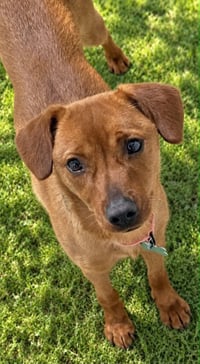 Mya - Photo 4