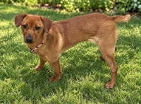 Mya - Photo 2