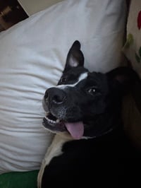 Mya - Photo 3