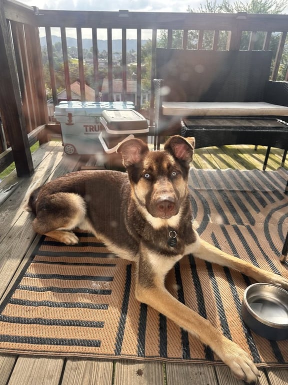 Loki Image