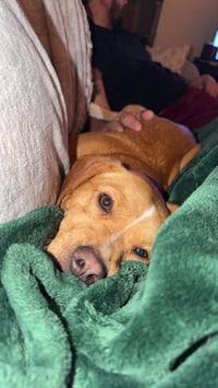 Peanut - Photo 3
