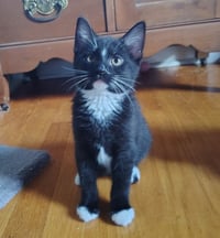 Martha - Photo 3