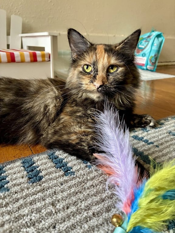 Nina Image