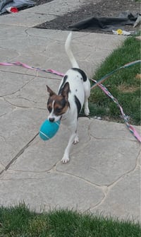Amelia - Photo 3