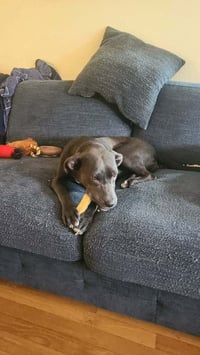 Judy - Photo 4