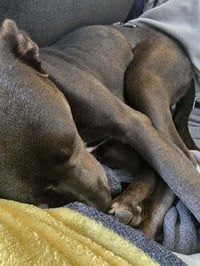 Judy - Photo 3