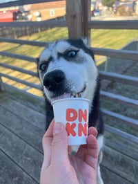 Kira - Photo 3