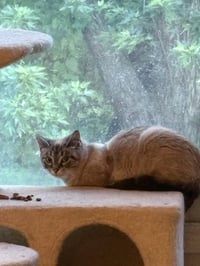 Matilda - Photo 3