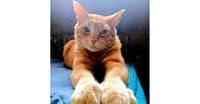 Barnaby - Photo 1