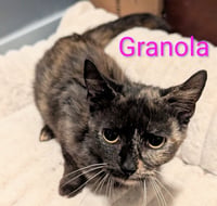 Granola - Photo 3
