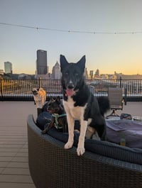 Zeus - Photo 4