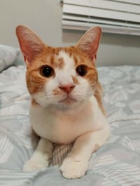 Eddy - Photo 1