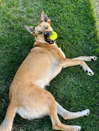 Winnie - Photo 1