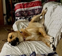 Winnie - Photo 3