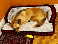 Winnie - Photo 4