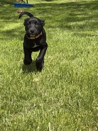 Gabbie - Photo 2