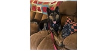 River - Photo 1