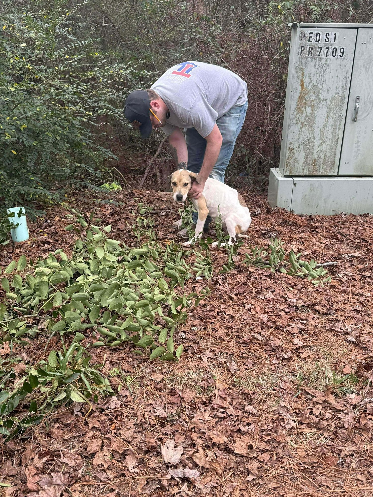 BEEBEE - Unknown available for adoption