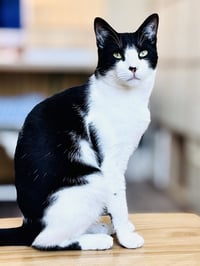 Gozer - Photo 2